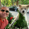 Creator avatar