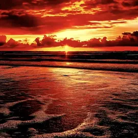 Baudon profile image