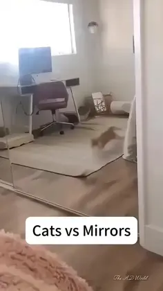 Featured post 1