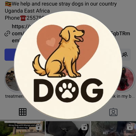 Animals Pet Hub profile image