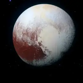 ELON MUSK profile image