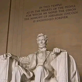 Donna Pock profile image