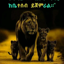 Dawit G/Egziabher Tassew profile image