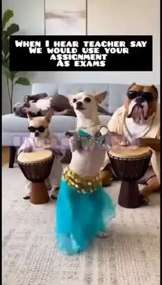 Featured post 1