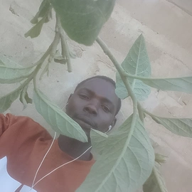 Haji Rashidi profile image