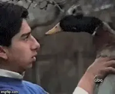 Featured post 5