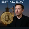 Creator avatar