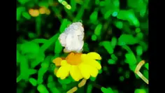 Featured post 1
