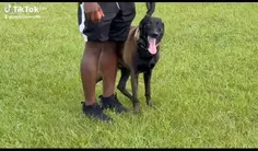 Featured post 1
