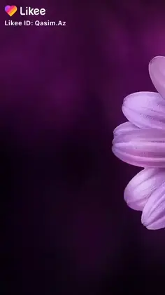 Featured post 1