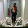 Creator avatar