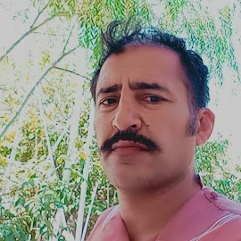 Hamid Alizadi profile image