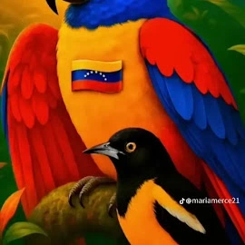 Jesus Diaz profile image