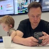 Creator avatar