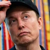 Creator avatar
