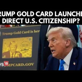 trump gold card profile image