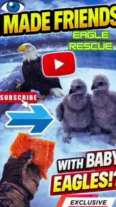 Featured post 8