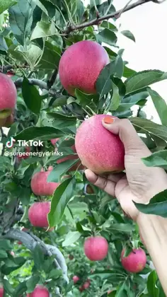 Featured post 1