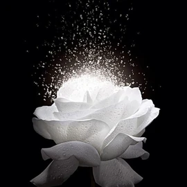 Bless son profile image