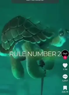 Featured post 2