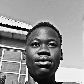 Ola Coded profile image
