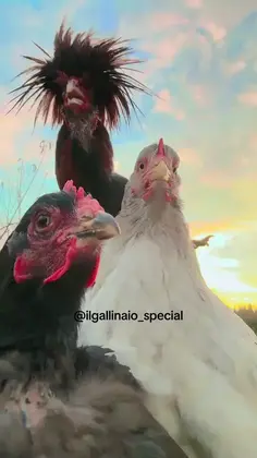 Featured post 3