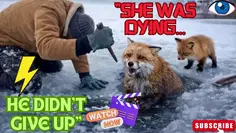 Featured post 6