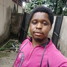 Solomon Eze profile image