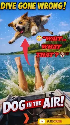 Featured post 3