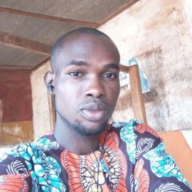 Oyeniwe ILias profile image