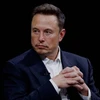 Creator avatar