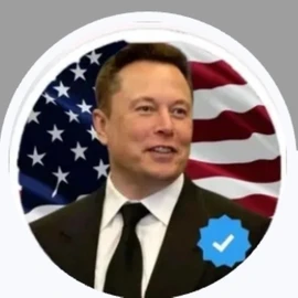 Elon musk profile image
