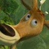 Creator avatar