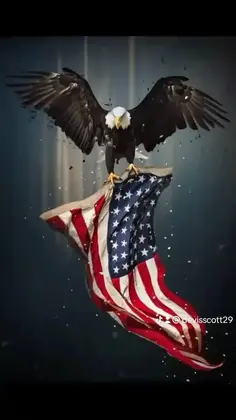Featured post 6