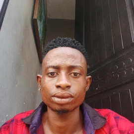 St, Paul Udoh profile image