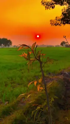 Featured post 1
