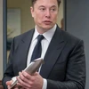 Creator avatar