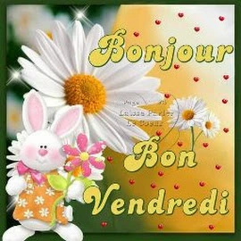 douti stephane profile image