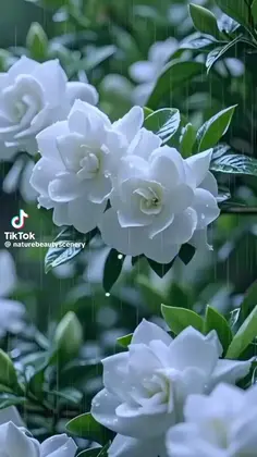Featured post 1