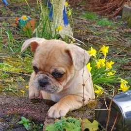 Alexandra Giovanni profile image