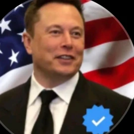 Elon Reeves musk profile image