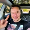 Creator avatar