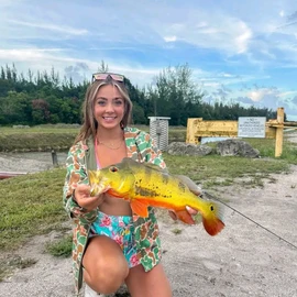 Lisa Andrew profile image