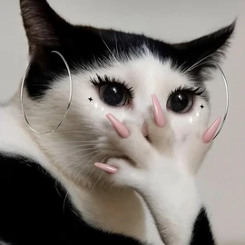 rrx7646 profile image