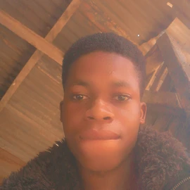 David promise profile image