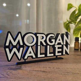 Morgan wallen profile image
