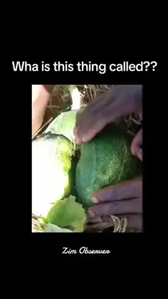 Featured post 1