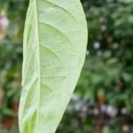 Anandhakkumar profile image