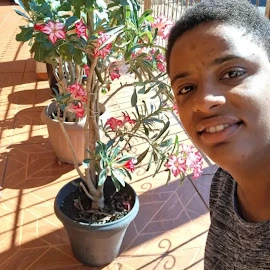 Viviane Bezerra Ferreira profile image
