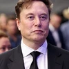 Creator avatar